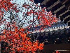 -钱王祠