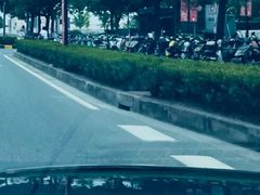 -浦江城市生活广场(江月路店)