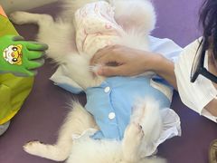 -怪兽屋·羊驼·猫咖·狗咖(俊华广场店)