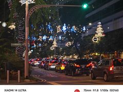 -新加坡乌节希尔顿酒店 (SG Clean)