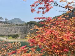 -铜锣山矿山公园