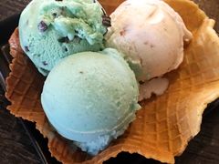 -莓园冰淇淋店