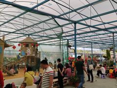 -麻涌飞鸭开心农场