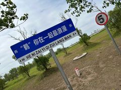 -盐城丹顶鹤湿地生态旅游区