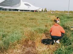 -哈尔滨大剧院