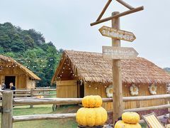 -龙岩森林水乡景区
