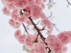 -四明山国家森林公园