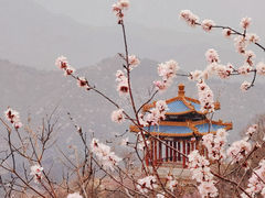 -居庸关长城