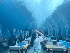 -涛·海底餐厅·美人鱼·自助餐·海底隧道(三亚海棠湾洲际度假酒店)
