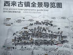 -巧姑传