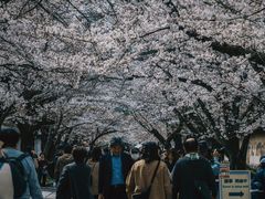 -醍醐寺
