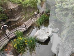 -聚缘堂·海鲜私房菜(松岭路店)