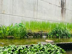 -中国湿地博物馆