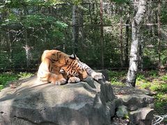 -哈尔滨北方森林动物园