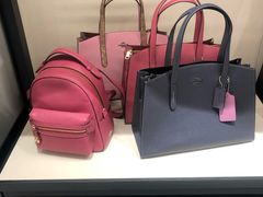 -COACH蔻驰(华润万象城店)