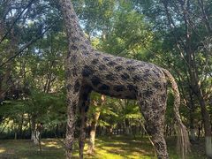 -东平国家森林公园