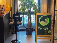 -梵猫·新养生(湛江鼎盛店)