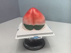 -爱之旅diy烘焙坊(西直门店)