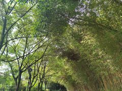 -海兰云天度假区温泉