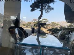 -罗红摄影艺术馆