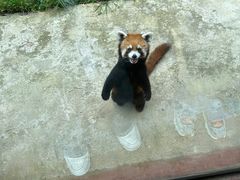 -杭州野生动物世界