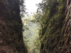 -塔云山