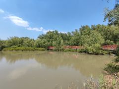-大亚湾红树林城市湿地公园