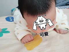 -大班家政月嫂育儿嫂(广州NO.1店)