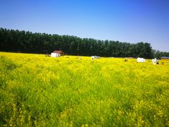 -天津武清北运河郊野公园房车露营地