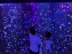 -顺德南宏海立方海洋公园