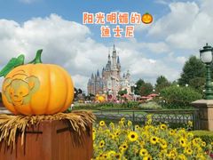 -上海迪士尼度假区