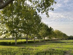 -汉长安城未央宫国家考古遗址公园