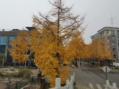 -锦江之星(成都太古里文殊院地铁站店)