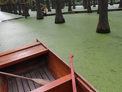 -渌洋湖湿地公园