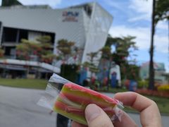 -金珠肉粽