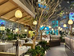 -桂满陇·海市蜃楼·黑金(国金店)