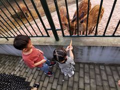 -无锡动物园·太湖欢乐园