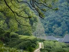 -莫干山风景区