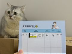 -御宝贝·A梦猫科宠物医院(国际猫友好医院)
