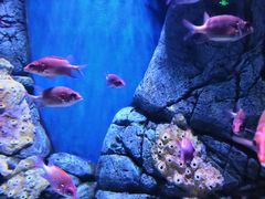 -成都浩海立方海洋公园