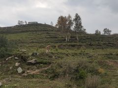 -灵山