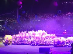 -珠海横琴长隆《卡卡虎奇遇记》