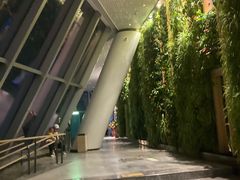 -WFC会仙楼观景台
