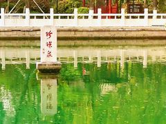 -趵突泉景区