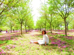 -古柏渡飞黄旅游区