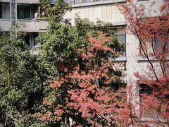 -乌山风景区