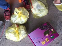 -马陆小张葡萄园农家乐