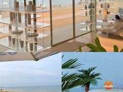 -日照海滨国家森林公园