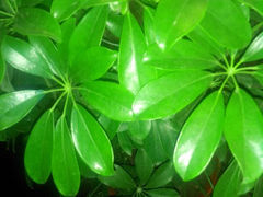 android_upload_pic-美达尔(中山路店)
