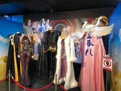 -东京塔海贼王主题公园
